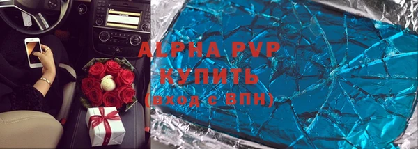 индика Алексеевка