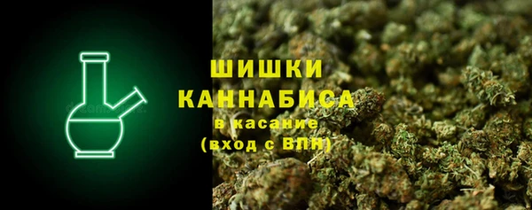 ПСИЛОЦИБИНОВЫЕ ГРИБЫ Вяземский