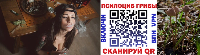 Галлюциногенные грибы Psilocybine cubensis hydra рабочий сайт shop формула Новотитаровская